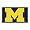 Michigan Wolverines