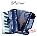 Search: Rossetti Piano Accordion 72 Bass 34 Keys 5 Switches Black