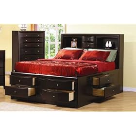 Phoenix Queen Bookcase Bed