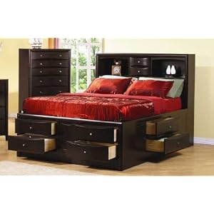 Phoenix Queen Bookcase Bed from Bookcases
