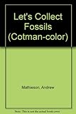 Let's collect fossils