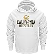 Cal Berkeley Bears White Champion Powerblend Hood