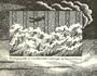 The Raging Tide: Or, the Black Doll's Imbroglio
