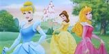 Review   / Disney Princess Towel Featuring Cinderella, Belle, & Sleeping Beauty