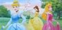 Princess Beach Towel