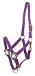 Gatsby Leather Company Nylon Horse Halter Purple