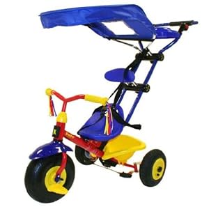 Kiddi-o by KETTLER Supreme Stroller Trike with Removable Canopy by 