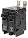 2P Standard Bolt On Circuit Breaker 15A 120/240VAC