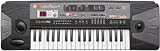37 Keys Electronic Music Keyboard Piano Organ with Recording Playback and FM Radio w/ Mic & Adaptor