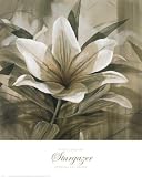 Stargazer Robert Holman 27x27