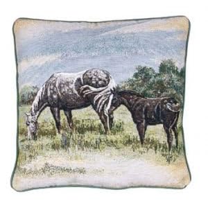 Western Flavor Decorative Tapestry Toss Pillow