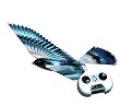 flying wing rc
