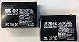 12V 10Ah Schwinn Missile FS Scooter Battery - 2 Pack