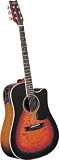 Musical Instruments : Washburn D10SCE12 Acoustic-Electric 12-string Guitar w/case - Natural