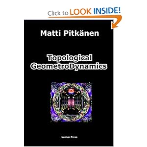 Topological Geometrodynamics - Matti Pitkanen