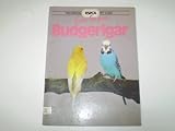 Care for your budgerigar