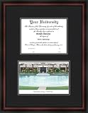 Diploma Frame & Lithograph Central Florida Golden Knights NCAA Item