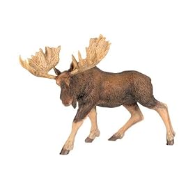 Moose (5)