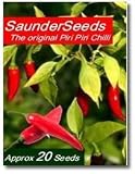 Chilli seeds Piri Piri, Peri Peri, African birdseye (or African devil or African red devil) pack of 20 ready to grow chilli seeds. Grow your own plant.