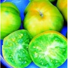 Gr�ne Fleischtomate - Aunt Ruby's German green - 10 Samen