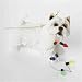 West Highland White Terrier Christmas Holiday Ornament Sandicast