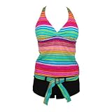 Tankini Multi Colored Stripes Top & Black Shorts Bottom