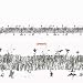 Silver Tinsel Garland 15ft
