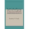 Individualizing Psychological Assessment: A Collaborative and Therapeutic Approach
