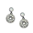 Silvertone Aurora Borealis Crystal Fashion Drop Earrings