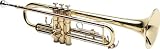 Bundy BTR - 300 Series Student Bb Trumpet, Lacquer - B001G7HCR0