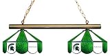 Michigan State Spartans Billiard Pool Table Light