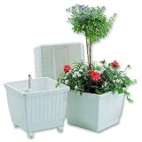 Aqua Planter
