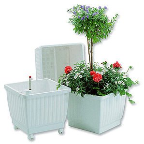 Aqua Planter