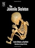 The Juvenile Skeleton