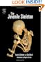 The Juvenile Skeleton