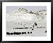 The Buffalo Herd of the Assinibone and Gros Ventre Indians Framed Art Poster Print, 31x25
