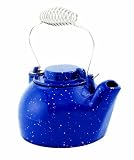 Minuteman International T-16-BL 2-1/2-Quart Cast Iron Humidifying Kettle