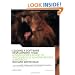 Leading a Software Development Team: A Developer's Guide to Successfully Leading People and Projects (The Practical Solutions Series)