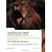 Leading a Software Development Team: A developer's guide to successfully leading people & projects