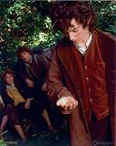 ブロマイド写真★『ロード・オブ・ザ・リング』指輪を見るフロド(イライジャ・ウッド)とサムたち 指輪 ウッド