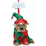 It's Christmas...What the Elf?