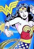 Wonder Woman (Cartoon) Art Poster Print - 24