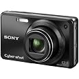 Sony Cyber-shot DSC-W290 12.1 MP Digital Camera with 5x Optical Zoom and Super Steady Shot Image Stabilization (Black)