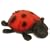 Cloud B Twilight Ladybug