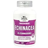 Echinacea Cold & Flu Supplement 90 Tablets