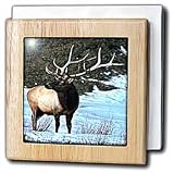 Review 3dRose LLC  / Elk - 6 Inch Tile Napkin Holder