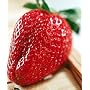 Everbearing Picnic Strawberry 40 Seeds/Seed