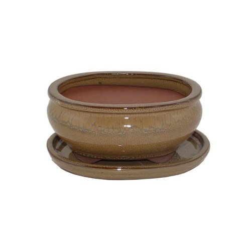 15cm Olive Coloured Oval Bonsai Pot and Tray 