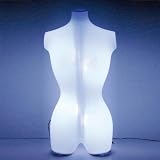 Lifesize (35