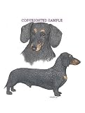 Dachshund - Double Image by Cindy Farmer, Black and Tan